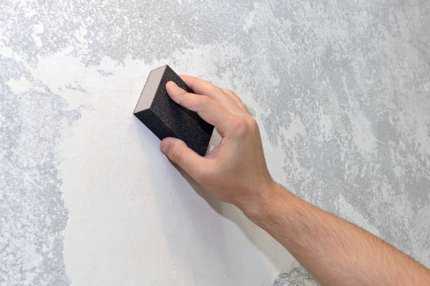 Best Asbestos and Lead Testing During Mold Inspection  in Milton, WV