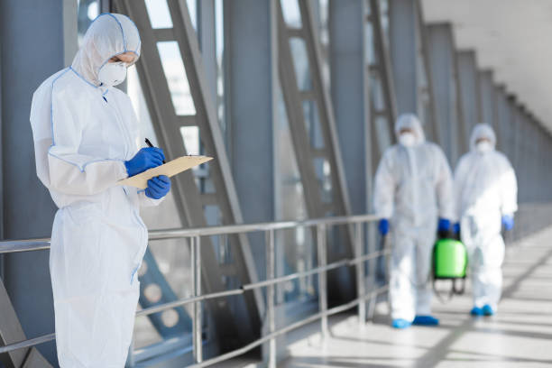 Mold Documentation for Insurance Claims in Milton, WV