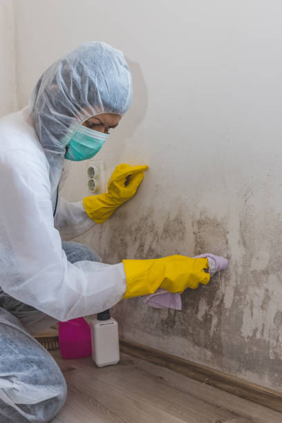 Best Emergency Mold Remediation  in Milton, WV