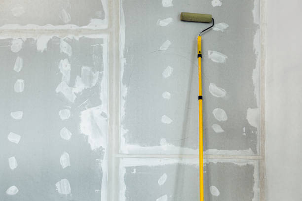 Professional Mold Removal in Milton, WV