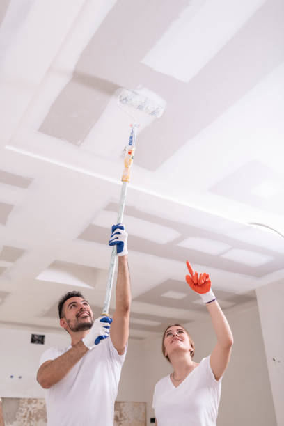Best Water Damage & Mold Remediation  in Milton, WV
