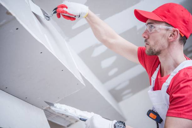 Best Basement Mold Removal  in Milton, WV